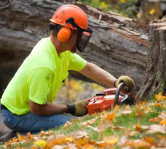 tree services Lewisville